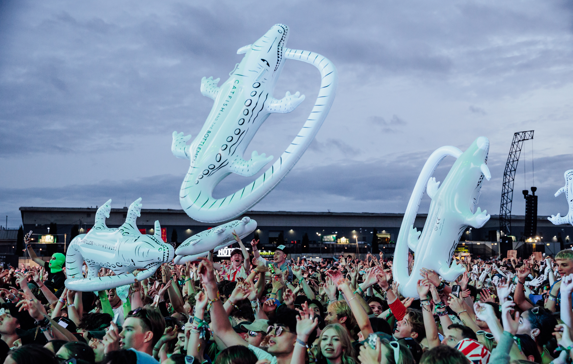 The crowd for Catfish & The Bottlemen at Reading 2024. Credit: Andy Ford for NME